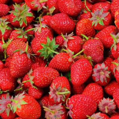 Strawberries, 1/2 flat Skagit Local ORG