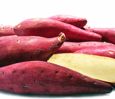 Potato, Sweet, Japanese, Org