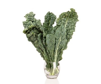 Kale, Tuscan (Lacinato), Organic, 12 bunch