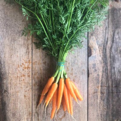 Carrot 2 Bunches, ORG  LOCAL
