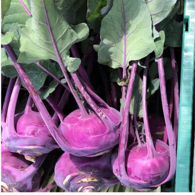 Kohlrabi, Purple, ORG  WA 12 count