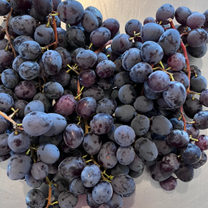 Grapes, Jupiter Table Local 10lb ORGP